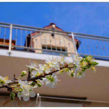 House Natalija * Primošten