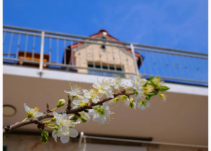 House Natalija * Primosten